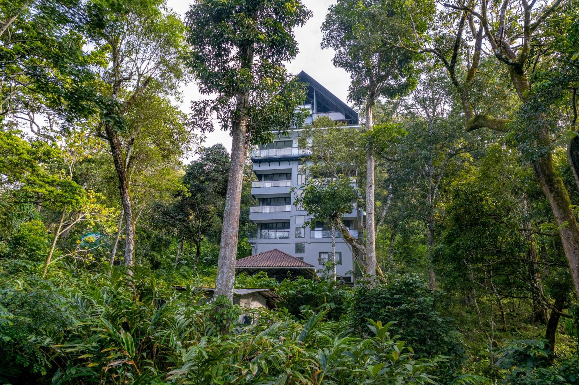 K Mansion Διαμέρισμα Munnar Εξωτερικό φωτογραφία